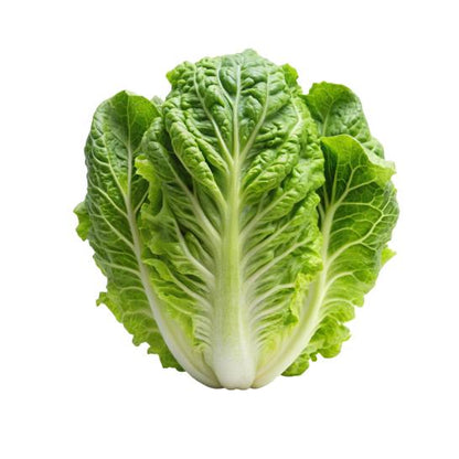 Lettuce Green Romaine, Prepack 1 Pc