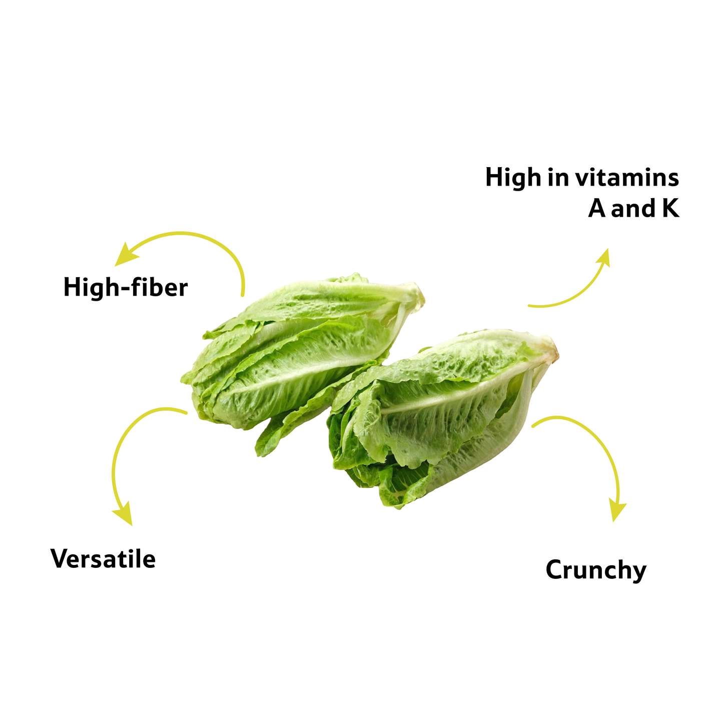 Lettuce Green Romaine, Prepack 1 Pc