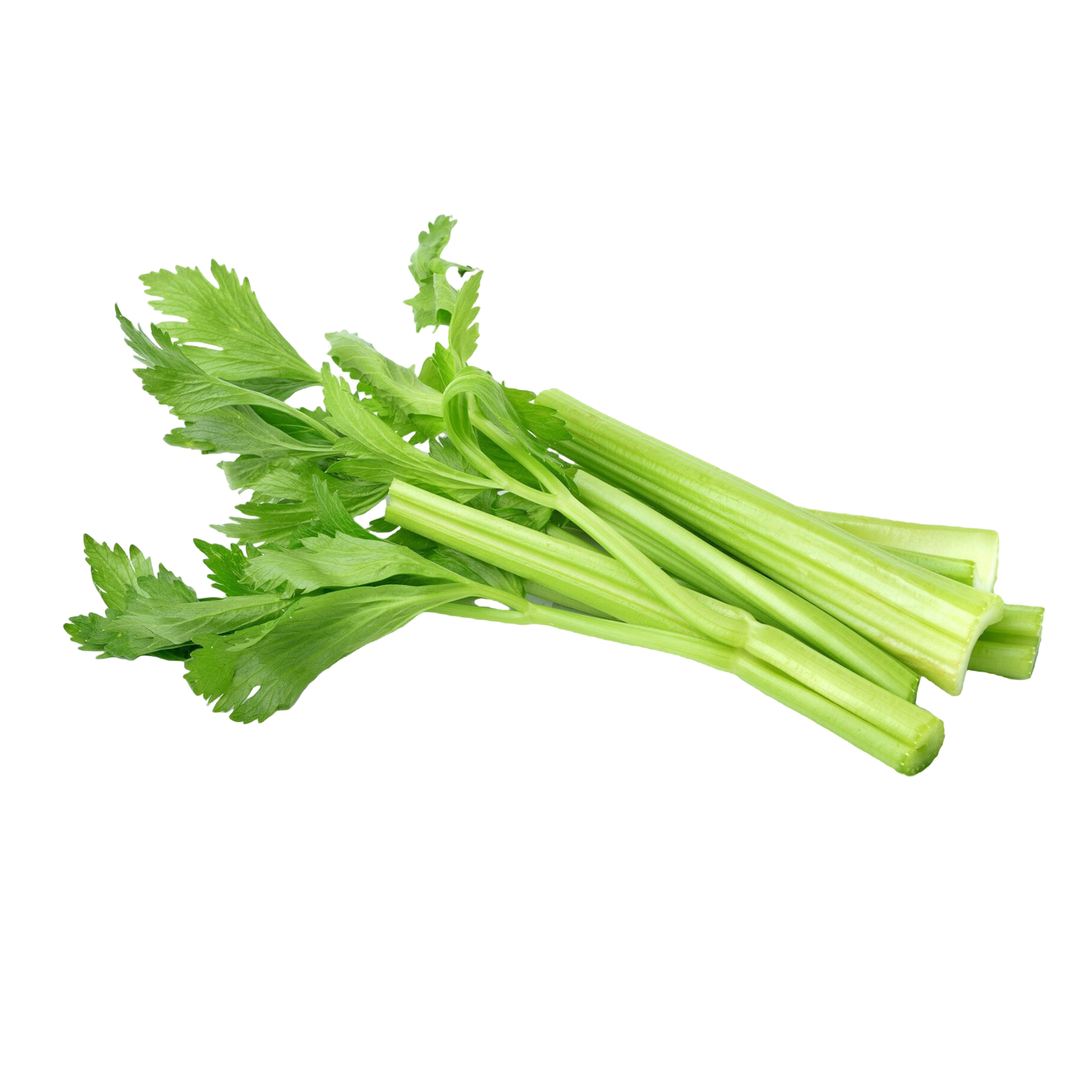 Celery, 20 g