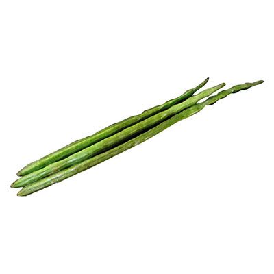 Starfresh Drumsticks Gap prepack 1 pc