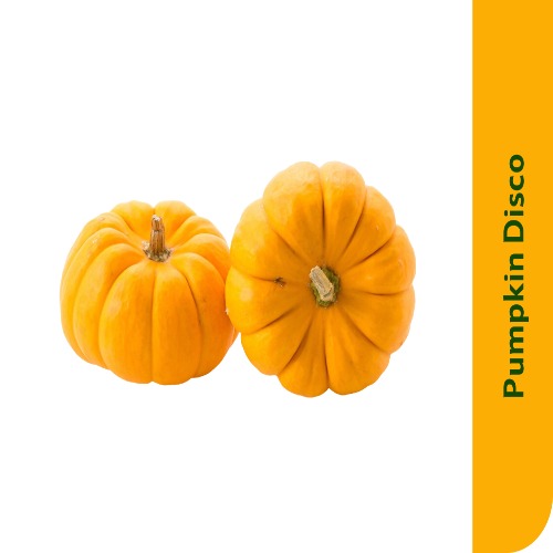 Starfresh Pumpkin Disco About 250-350 Gm