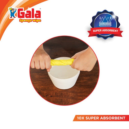 Gala Sponge Wipe Combo Pack 3 pcs