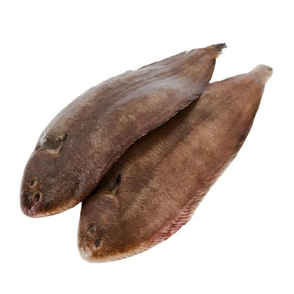 Sea Water Star Fish Sole, 1 Kg