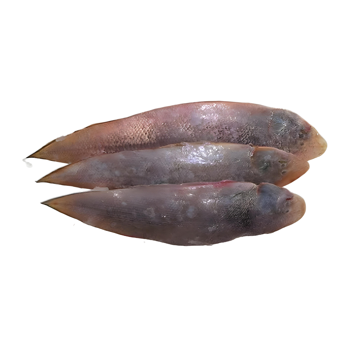 Sea Water Star Fish Sole, 1 Kg