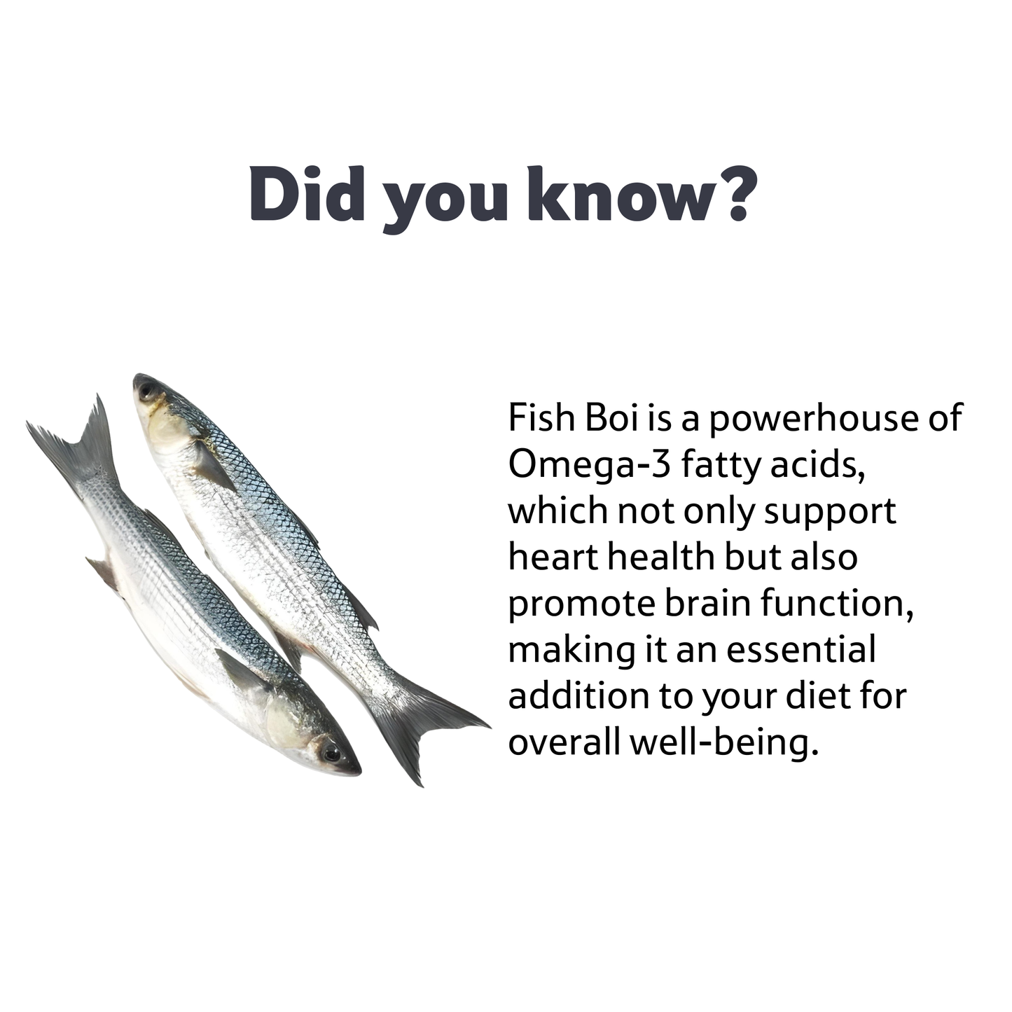 Fresh Water Star Fish Boi 3-5 Pc/Kg, 1 Kg
