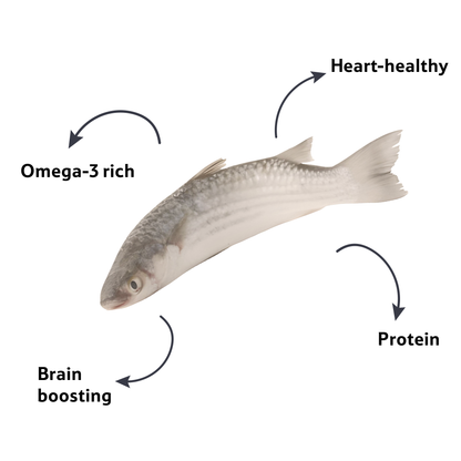 Fresh Water Star Fish Boi 3-5 Pc/Kg, 1 Kg
