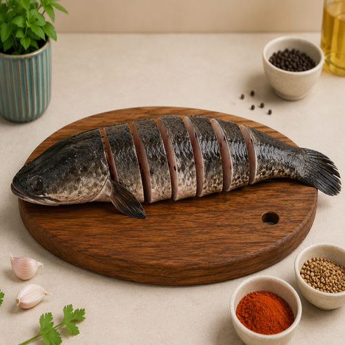 Water Murrel, 1 Pc