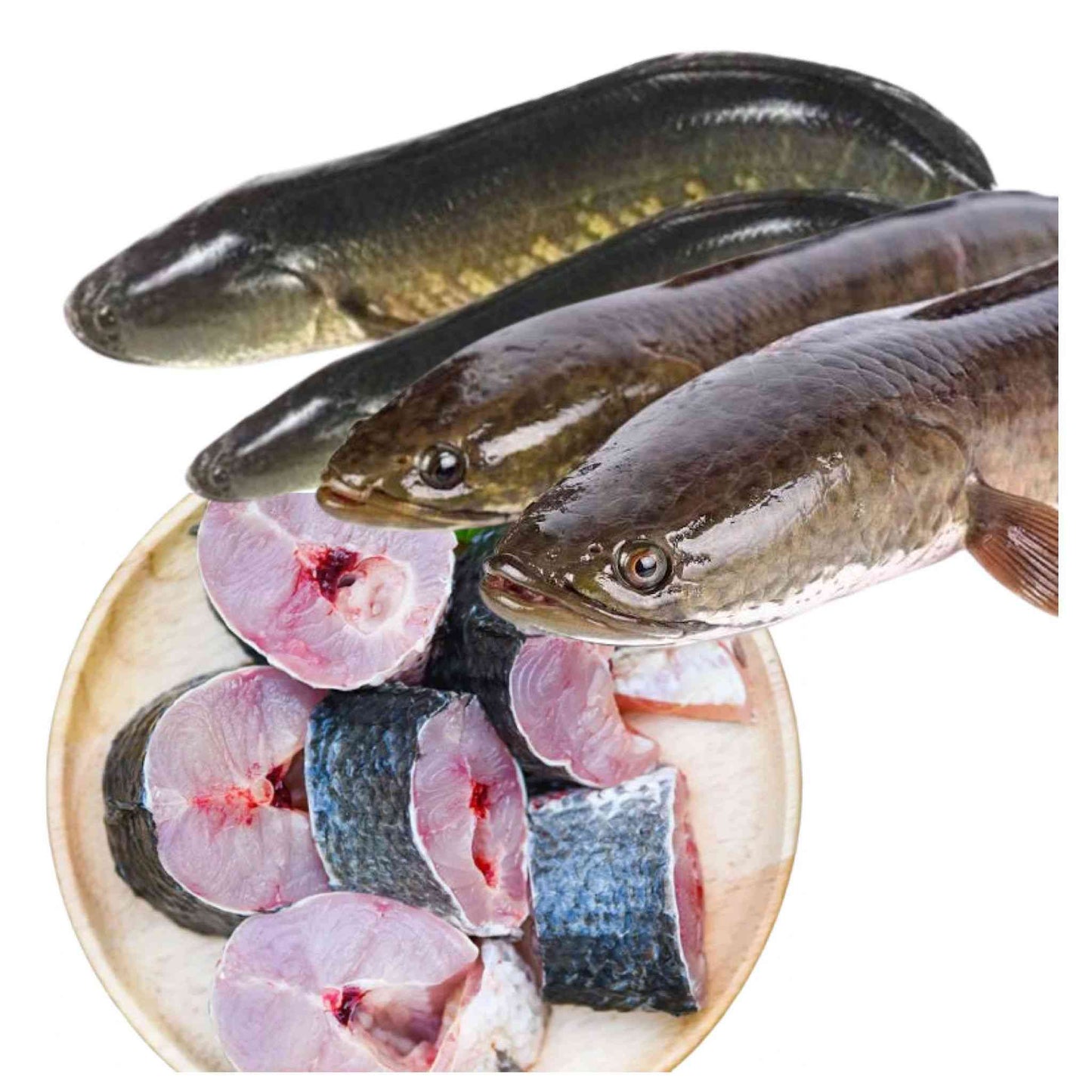 Fresh Water Live Murrel Cut with Bone, Gross 850 g, Net 295 g