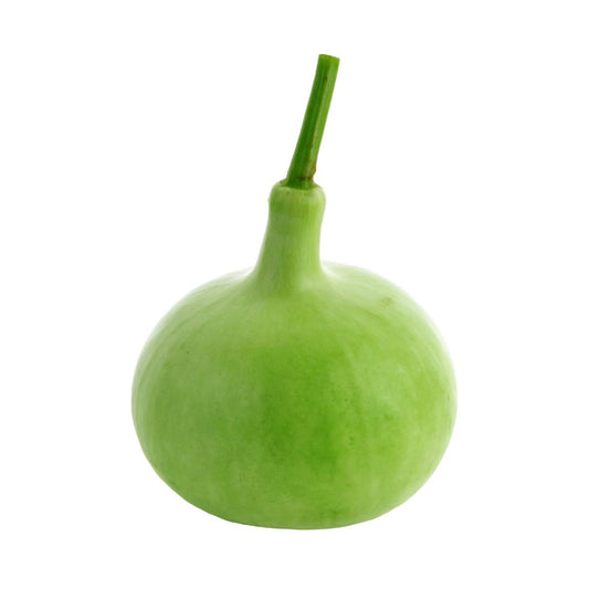 Starfresh Bottle Guard(Lauki) ~ 500-600 gm