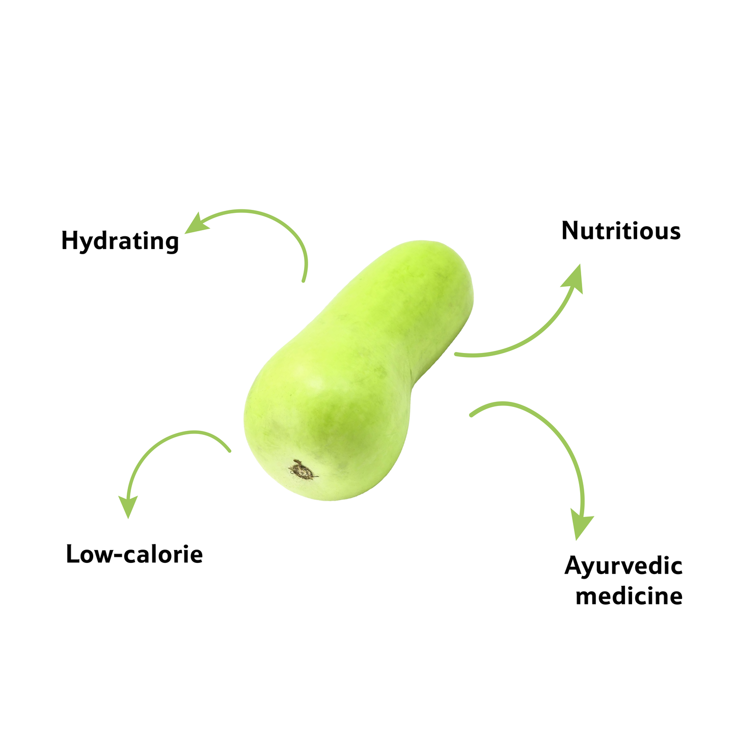 Starfresh Bottle Guard(Lauki) ~ 500-600 g