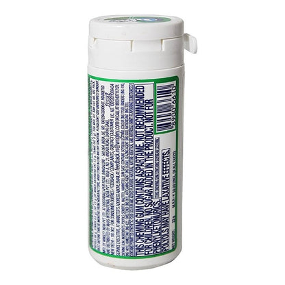 Orbit Spearmint 19.8 g