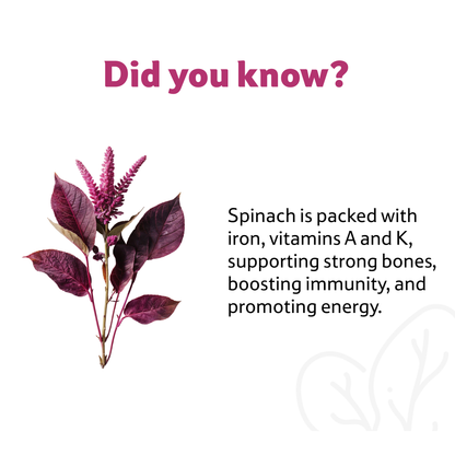 Starfresh Spinach Bunch prepack