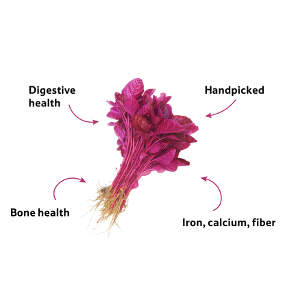 Starfresh Spinach Bunch prepack