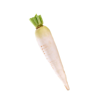 Radish White, 1 Pc