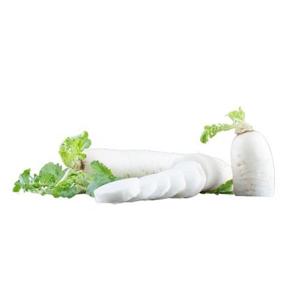 Radish White, 1 Pc
