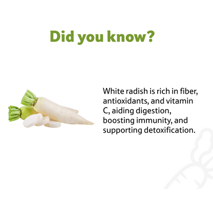 Radish White, 1 Pc