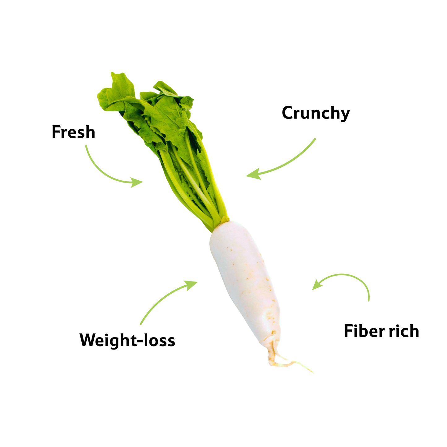Radish White, 1 Pc