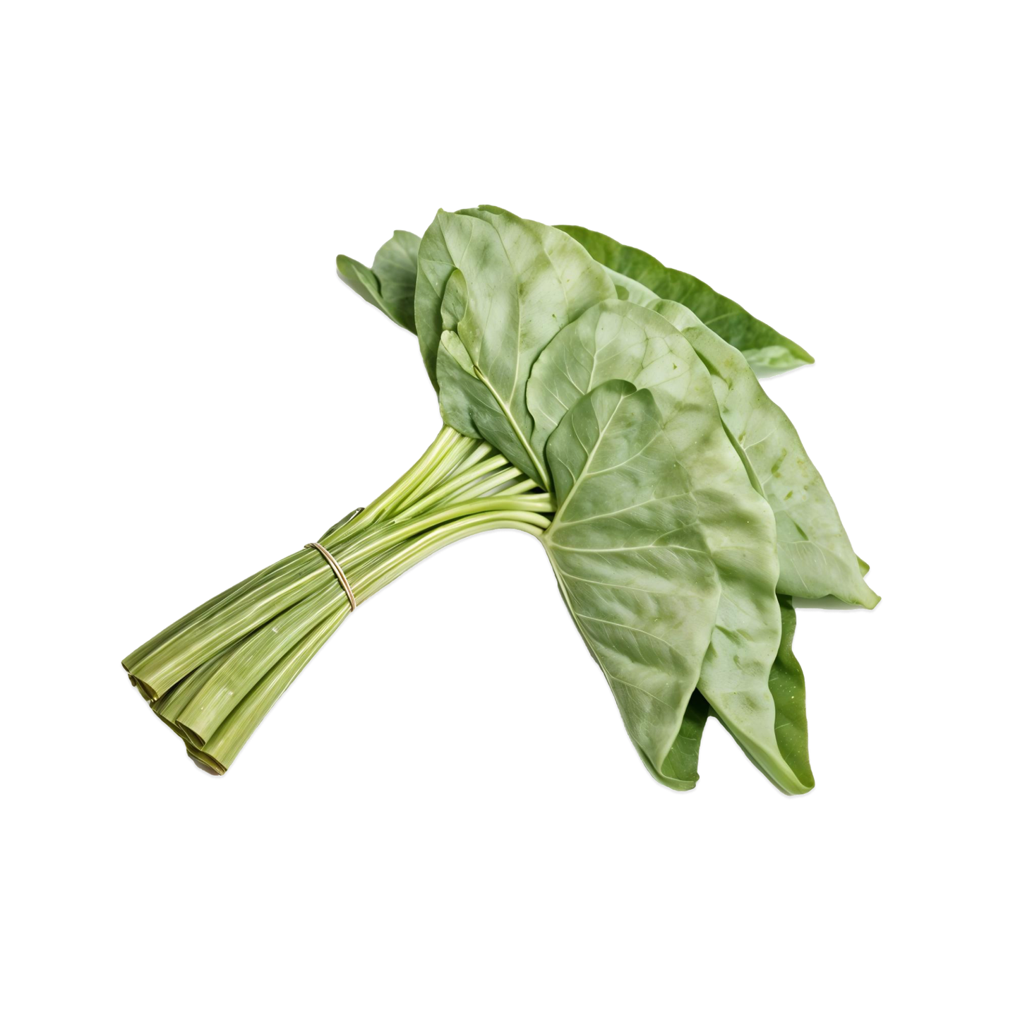 ColocassiaArbi Leaves Bunch, 35 g