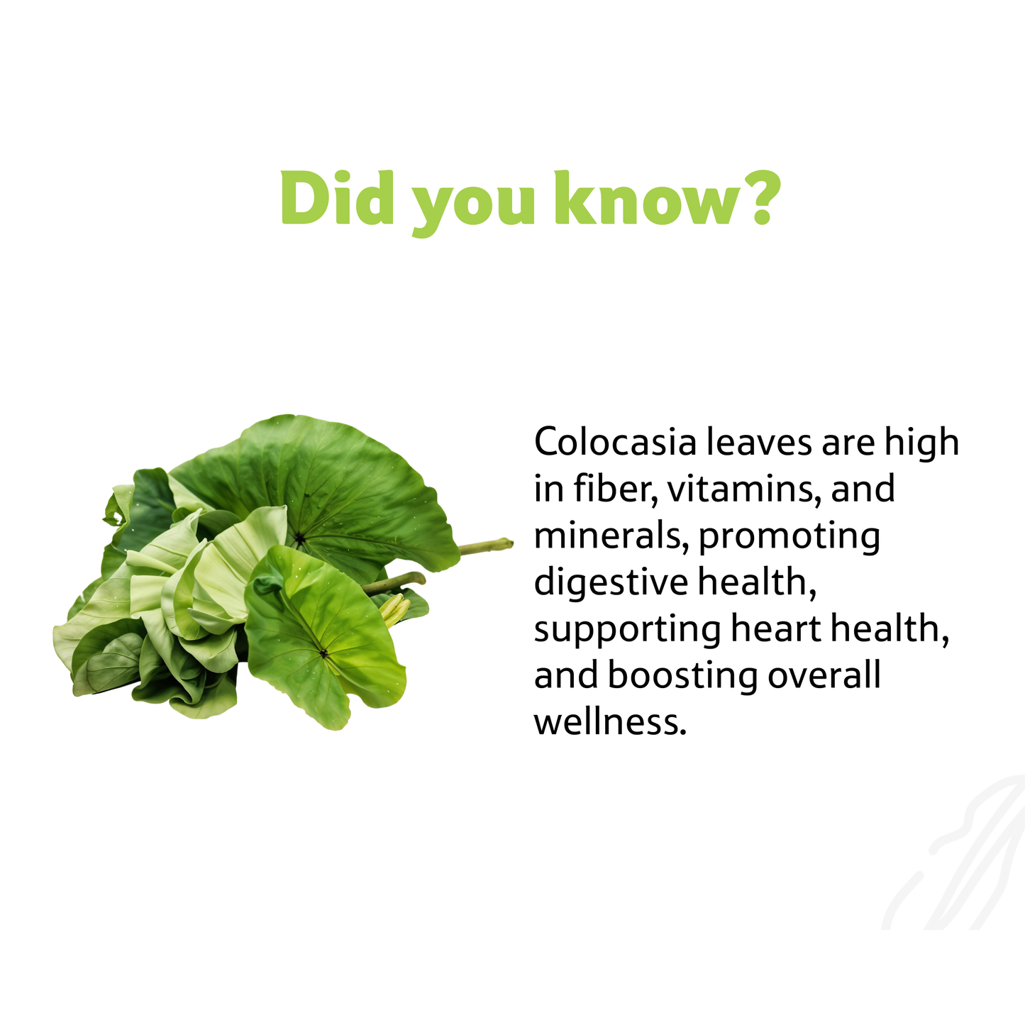 ColocassiaArbi Leaves Bunch, 35 g