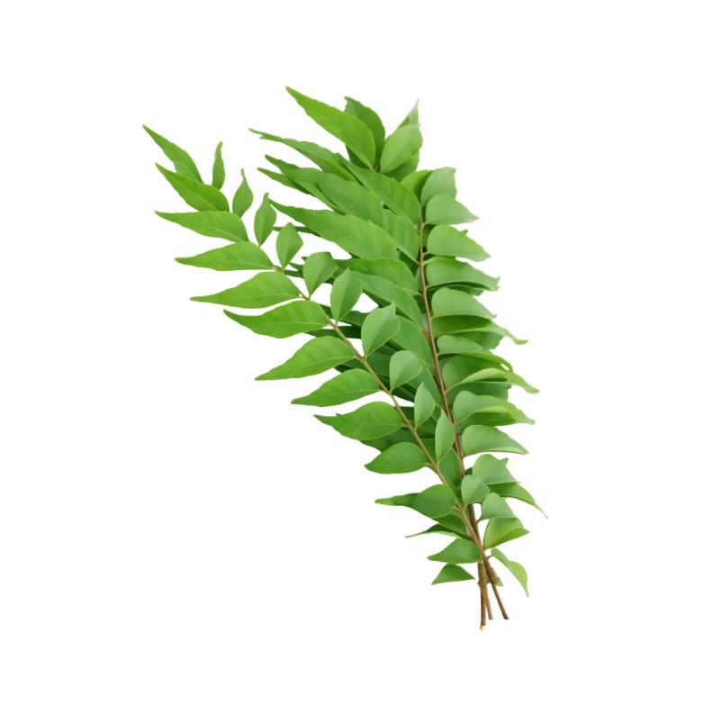 Starfresh Curry Leaves Bunch ~ 50 g
