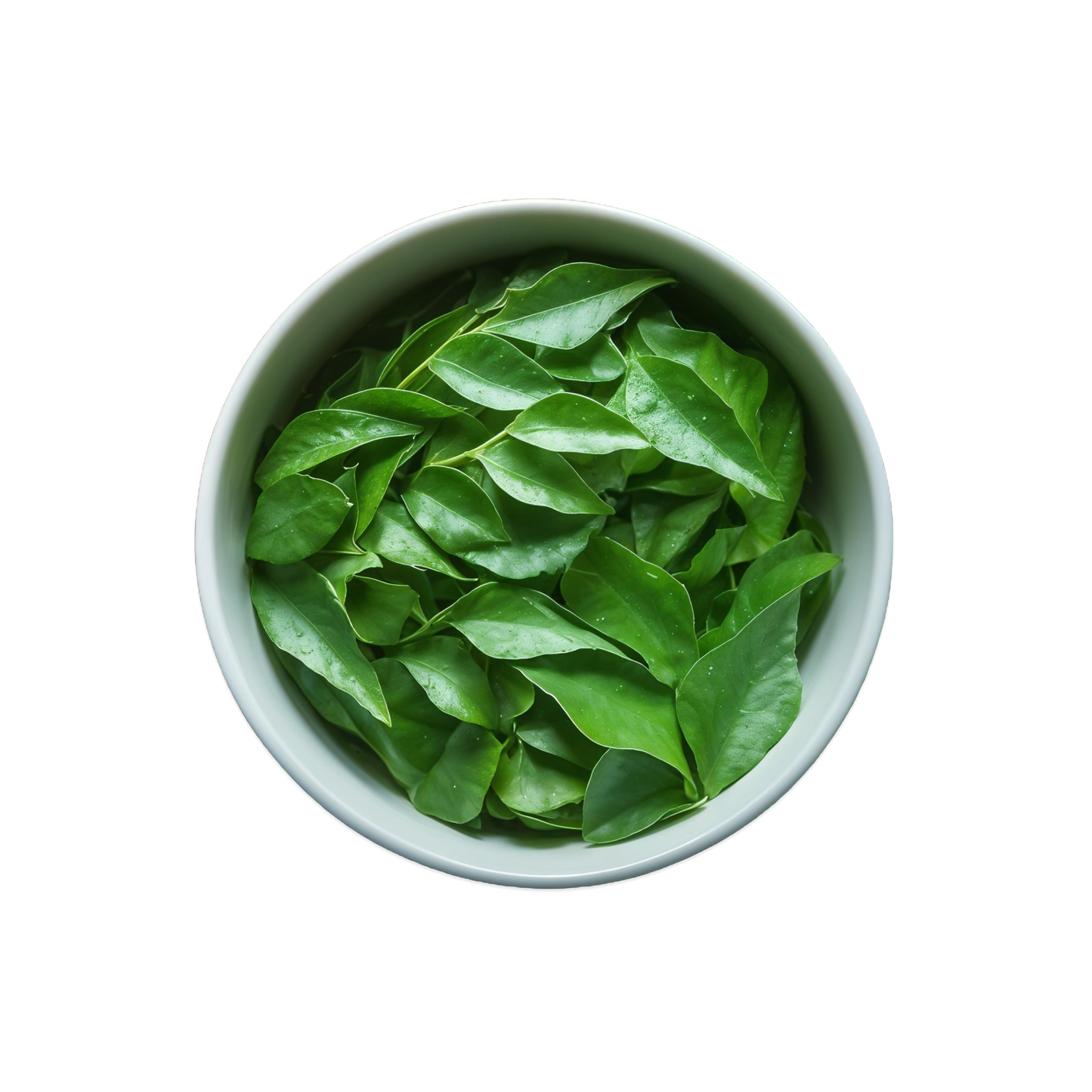 Starfresh Curry Leaves Bunch ~ 50 g