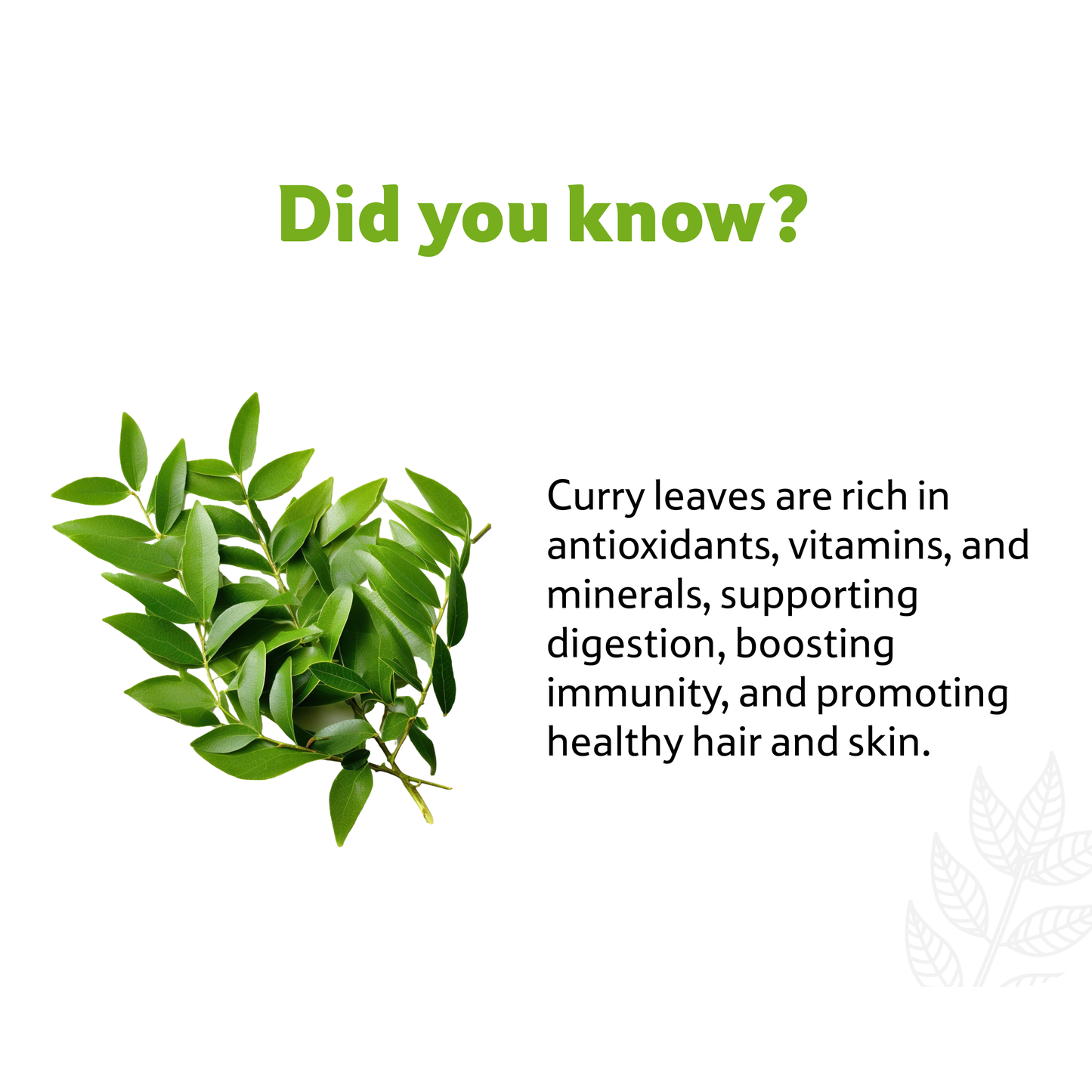 Starfresh Curry Leaves Bunch ~ 50 g