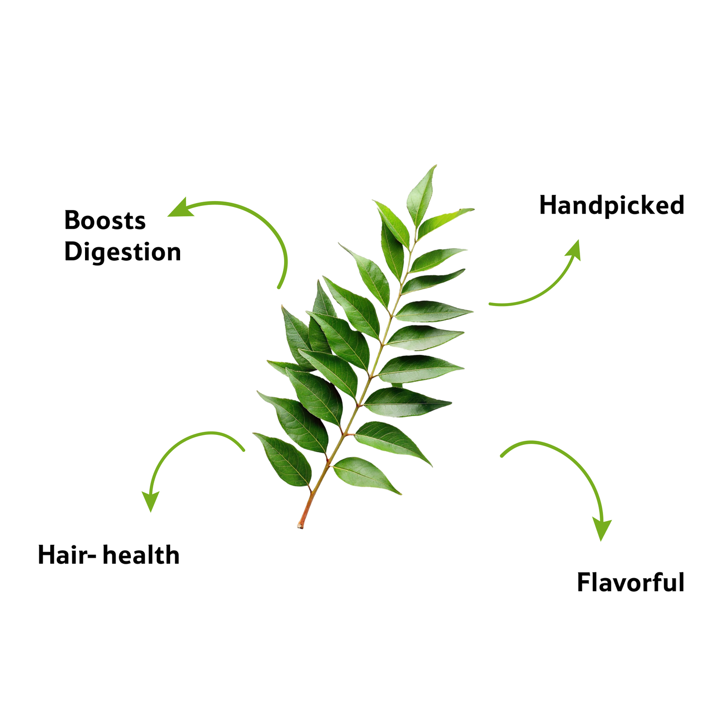 Starfresh Curry Leaves Bunch ~ 50 g
