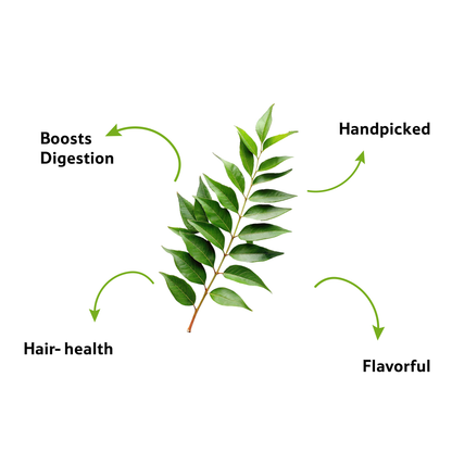 Starfresh Curry Leaves Bunch ~ 50 g