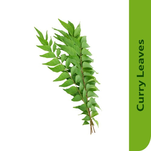 Starfresh Curry Leaves Bunch About 50 Gm