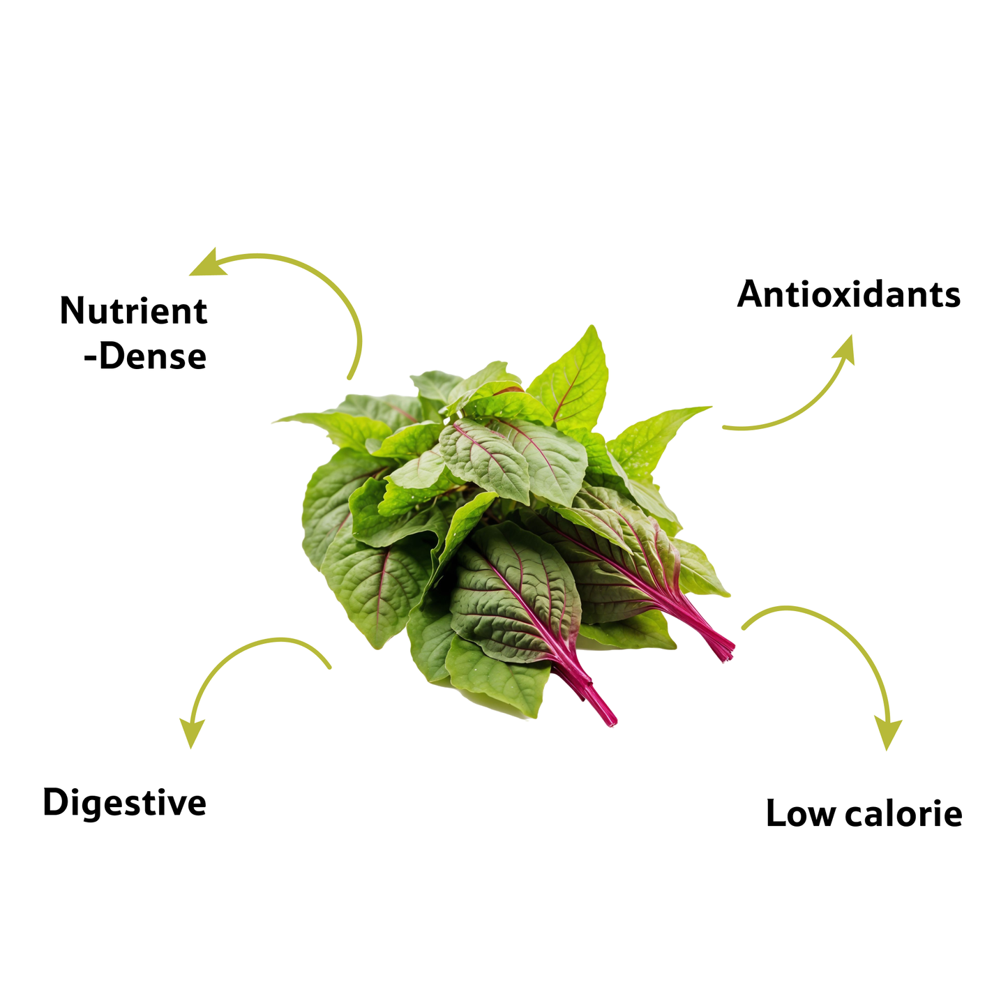 Amaranthus Green Leaves Bunch Prepack Per Pc