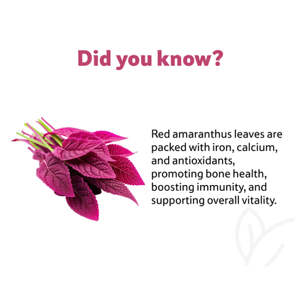 Amaranthus Red Leaves Bunch Prepack Per Pc
