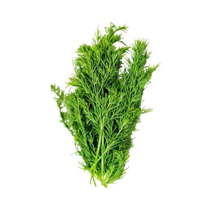 Dill Leaves, 1 Bunch
