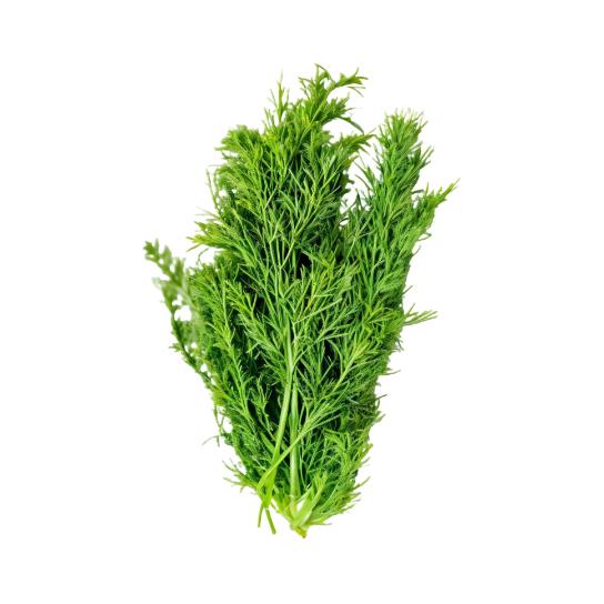 Dill Leaves, 1 Bunch