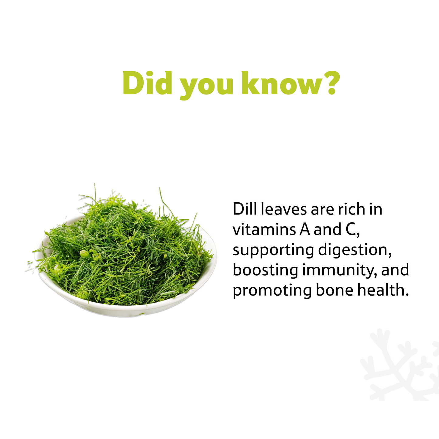 Starfresh Dill Leaves Bunch 1 bunch