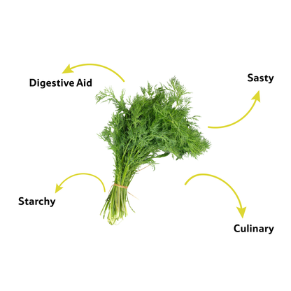 Dill Leaves, 1 Bunch