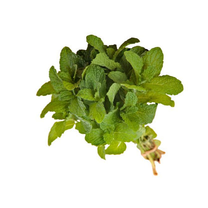 Starfresh Mint Leaves Bunch prepack about 150 gm