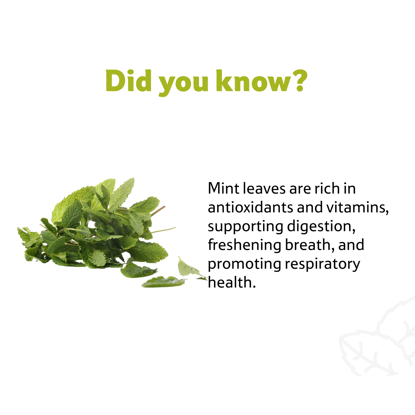 Mint Leaves Bunch, Prepack 150 g