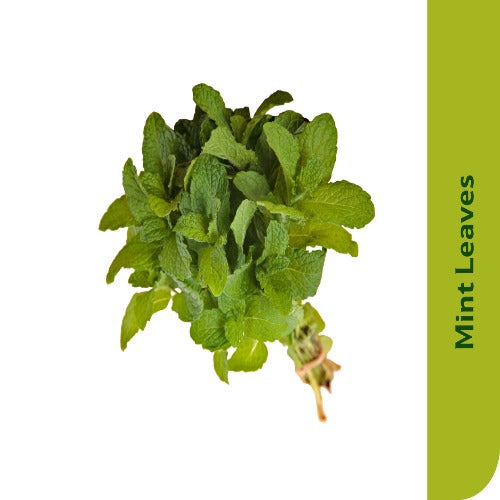 Starfresh Mint Leaves Bunch Prepack About 150 Gm