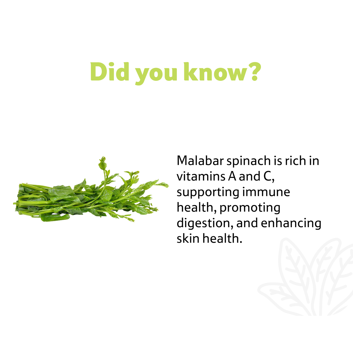 Malabar Spinach, Prepack Per Pc