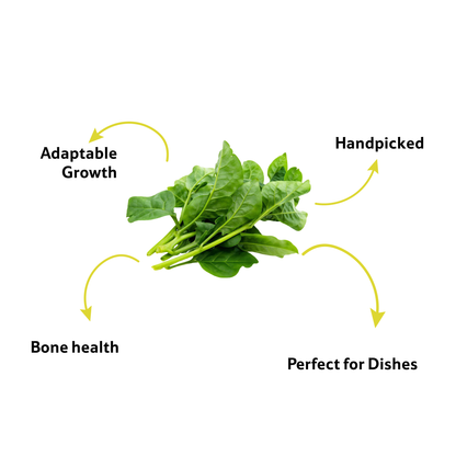Malabar Spinach, Prepack Per Pc