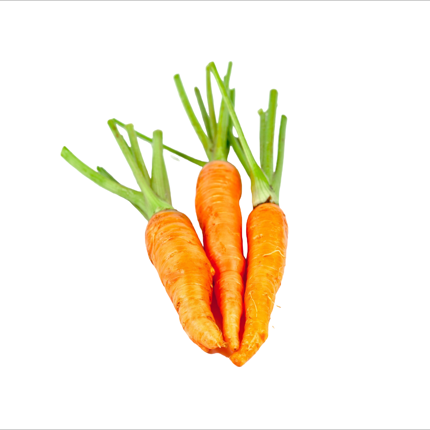 Starfresh Carrot Orange Prepack ~ 450 gm