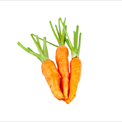 Starfresh Carrot Orange Prepack ~ 450 gm
