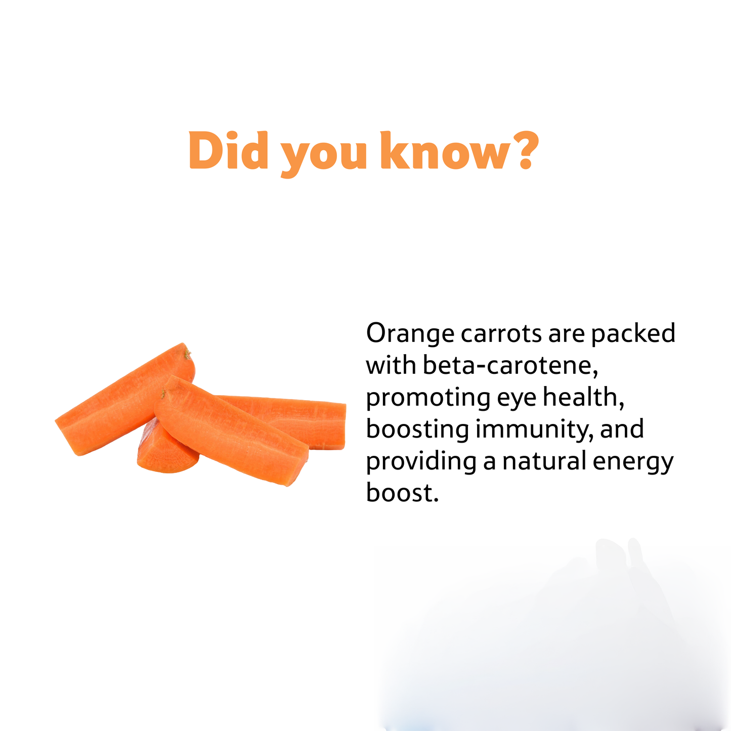 Carrot Orange, Prepack 450 g