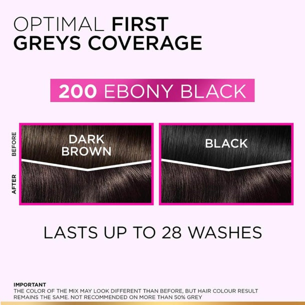 L'Oreal Paris Casting Ebony Black 200 Hair Colour 200 g