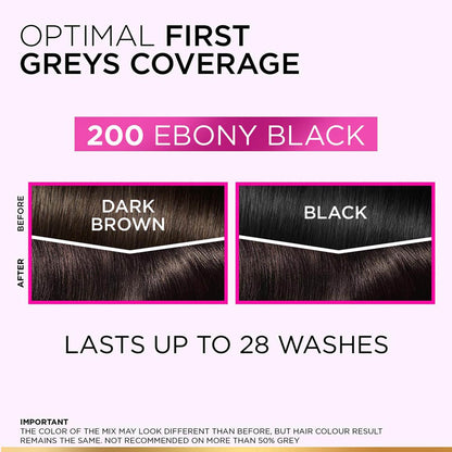 L'Oreal Paris Casting Ebony Black Hair Colour 200 g