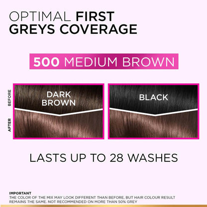 L'Oreal Paris Casting Medium Brown Hair Colour 500 g
