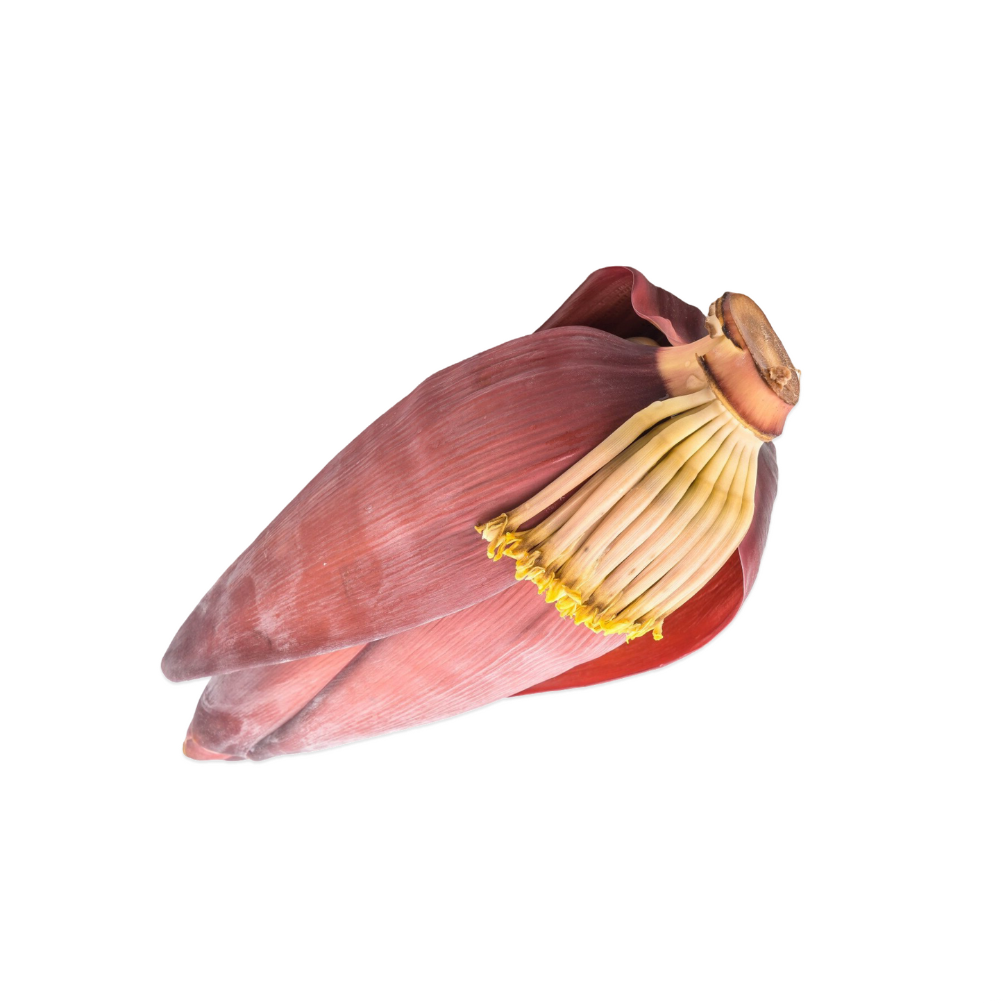 Starfresh Banana Flowers prepack 1 pc