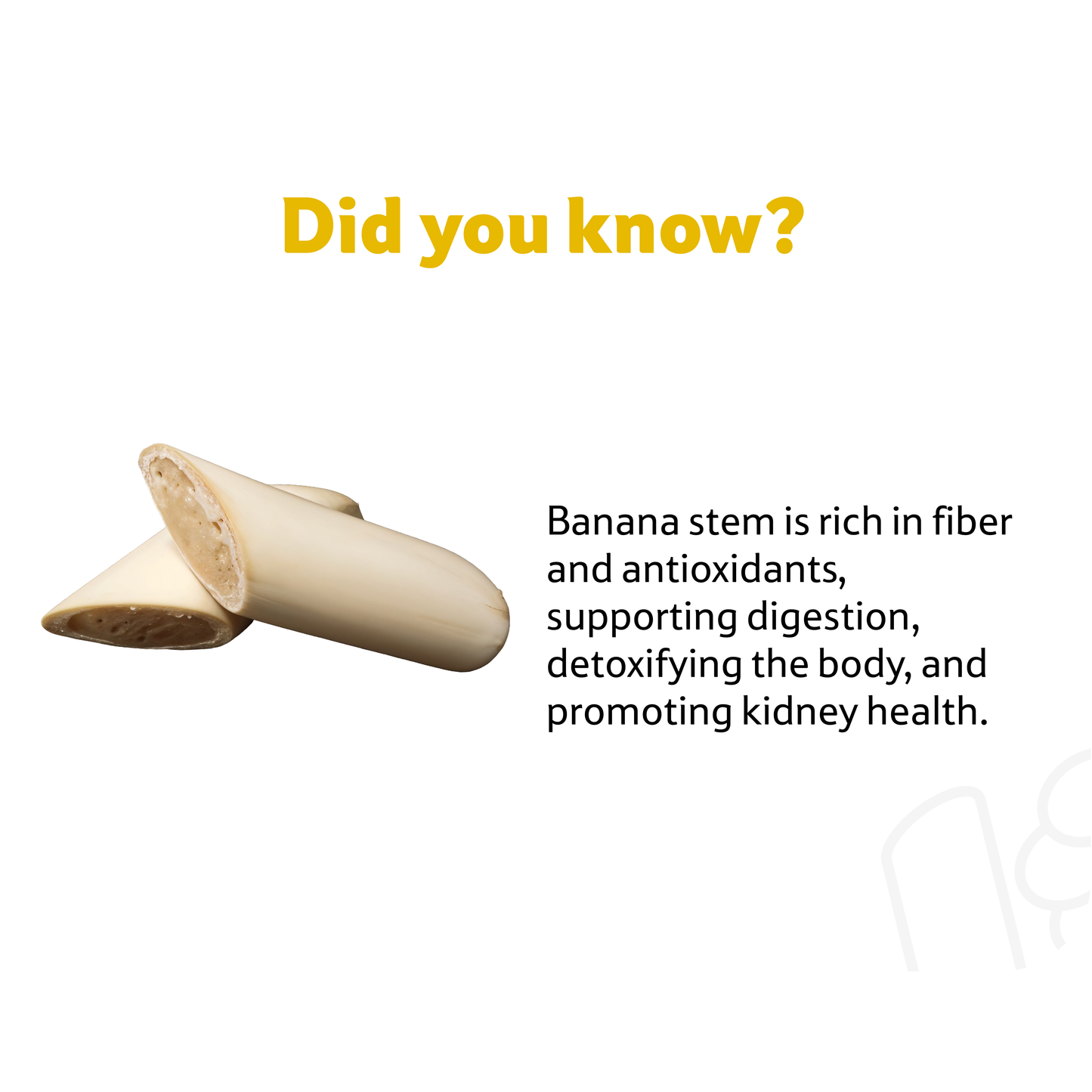 Banana Stem, Prepack 195 g