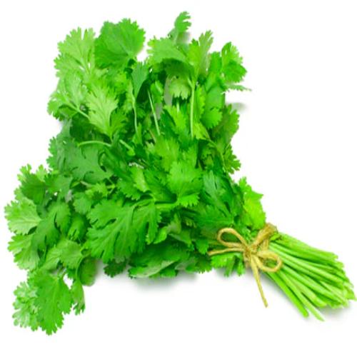 Starfresh Coriander Bunch Prepack 1 Pc