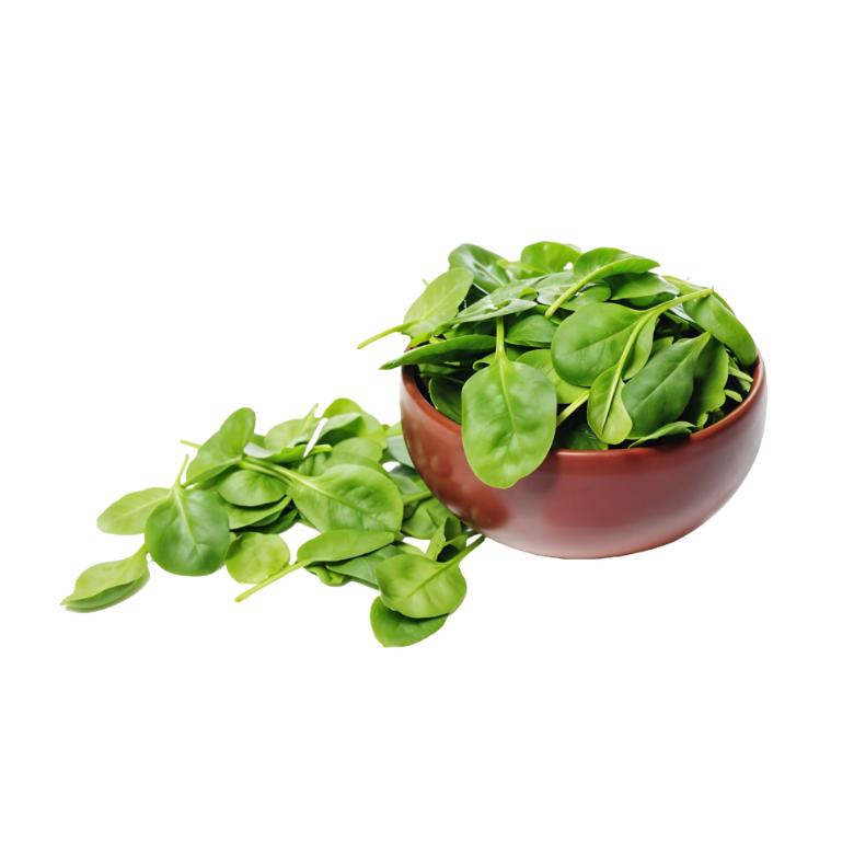 Starfresh Methi Leaves 1 bunch – Starquik